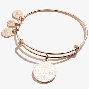 Alex and Ani Blessed Charm Bangle Bracelet